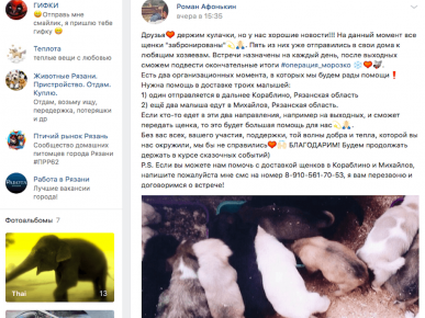 VK postası, köpek yavrusu kim ve ne zaman alır