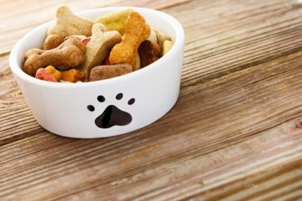 Köpek maması