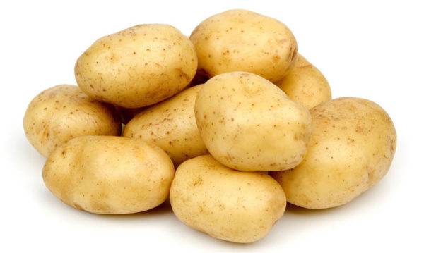 Köpekler için patates