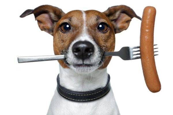 Köpekler için sosis