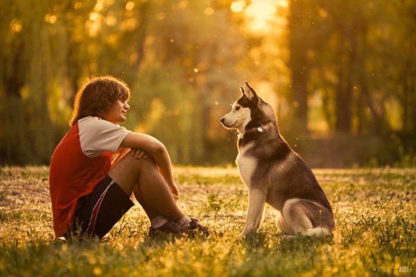 Bir köpek için nasıl lider olunur makaleyi okuyun