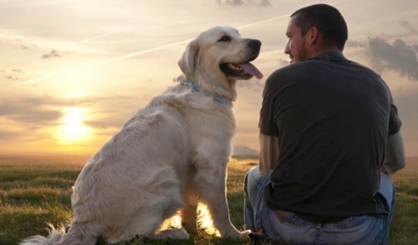Köpek ve insan