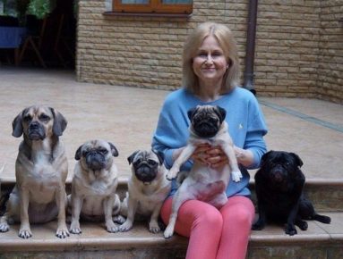 Daria Dontsova Köpekleri