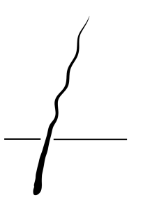 Kıvırcık saç
