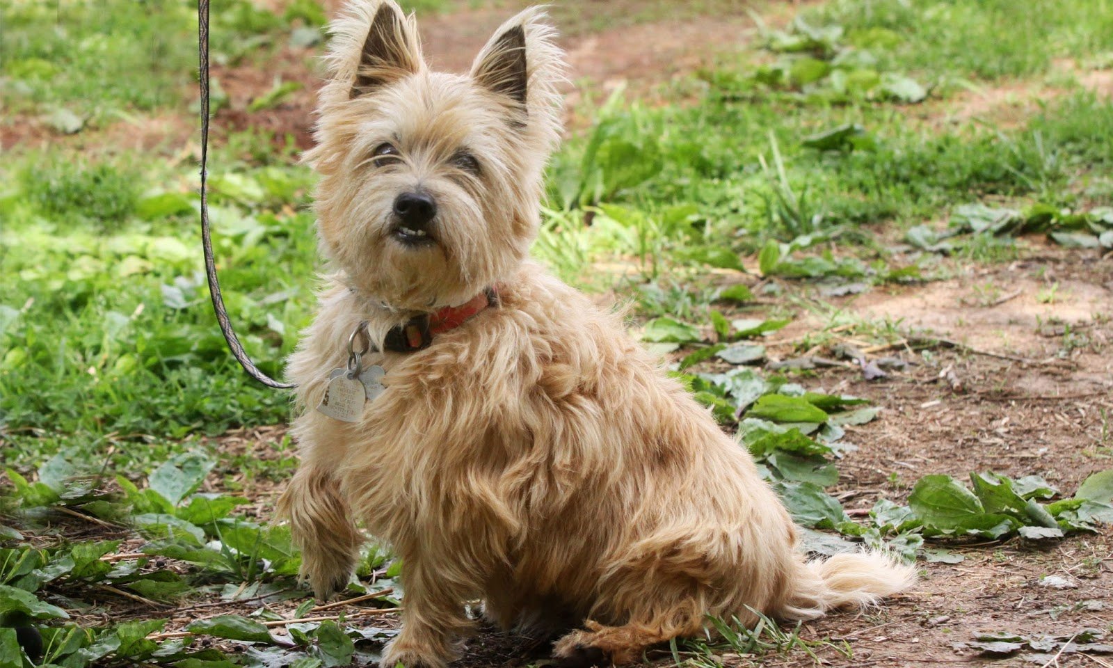Cairn