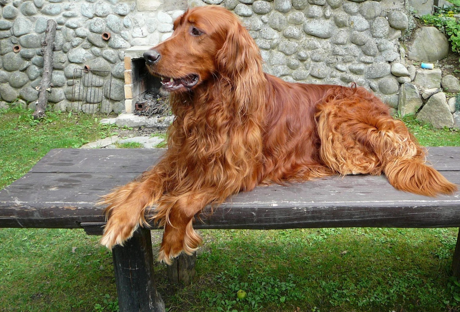Setter