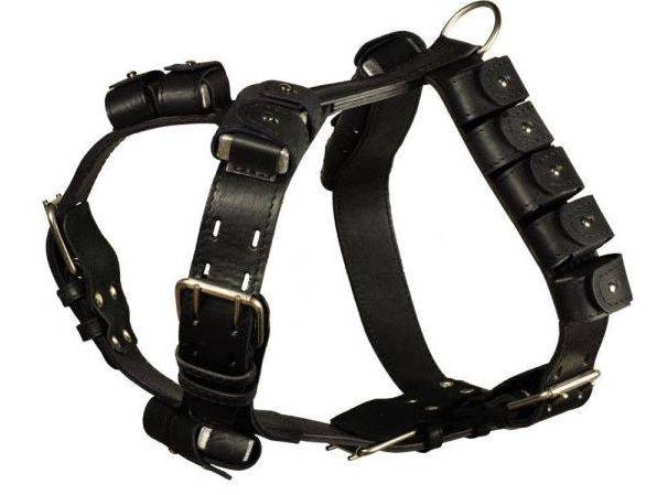 Köpekler için Göğüs Bandı