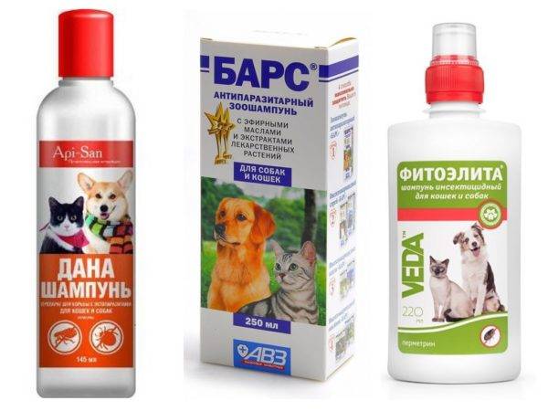 Köpekler için pire şampuanı