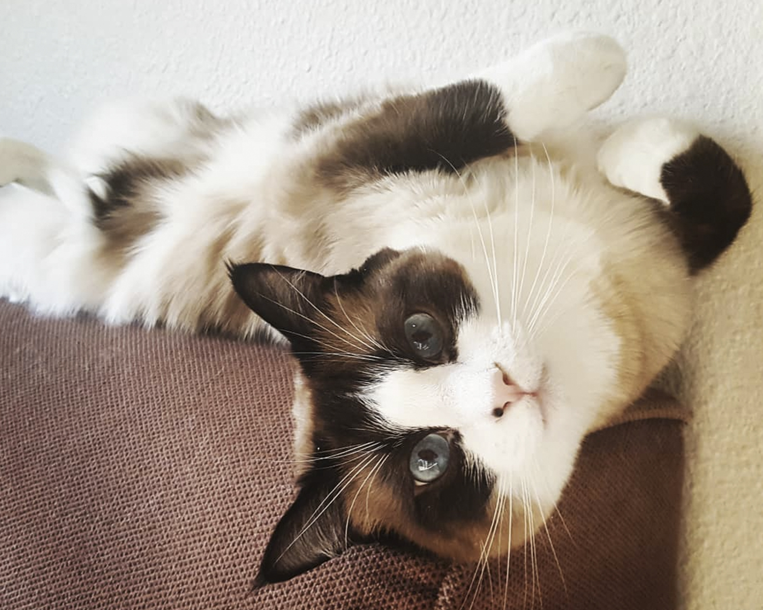 kar shu fotoğrafı