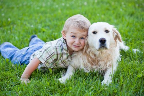 Köpek ve çocuklar: temel davranış kuralları