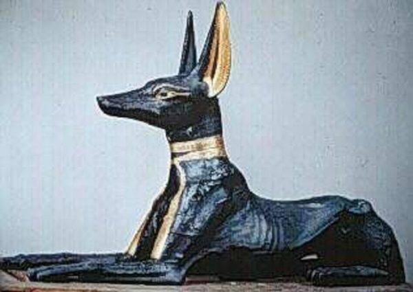Köpek ve din