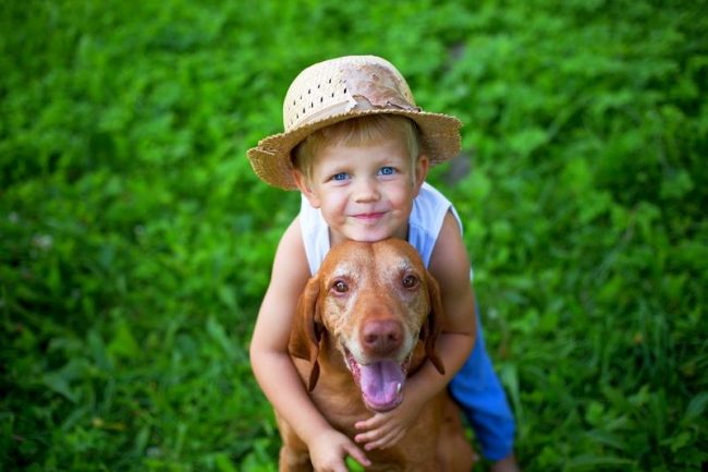 Macar hayatta kaldı - kesinlikle çocuklarla ortak bir dil bulacak, dost canlısı ve iyi huylu bir köpek Macar hayatta kaldı - kesinlikle çocuklarla ortak bir dil bulacak, dost canlısı ve iyi huylu bir köpek